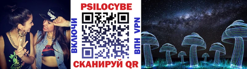 Галлюциногенные грибы мицелий  купить   Стародуб 